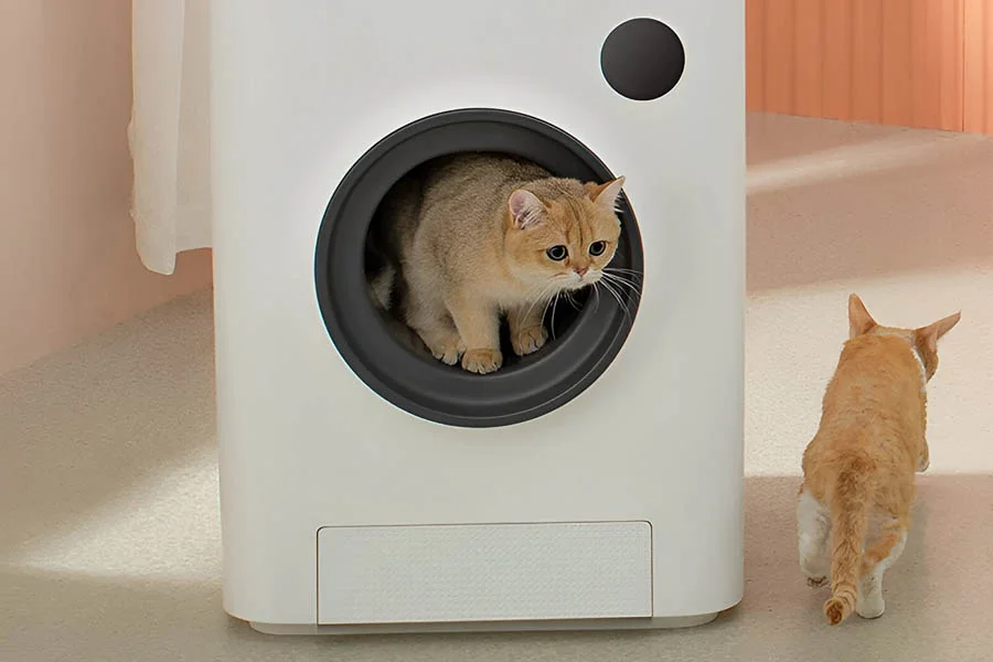best self cleaning cat litter