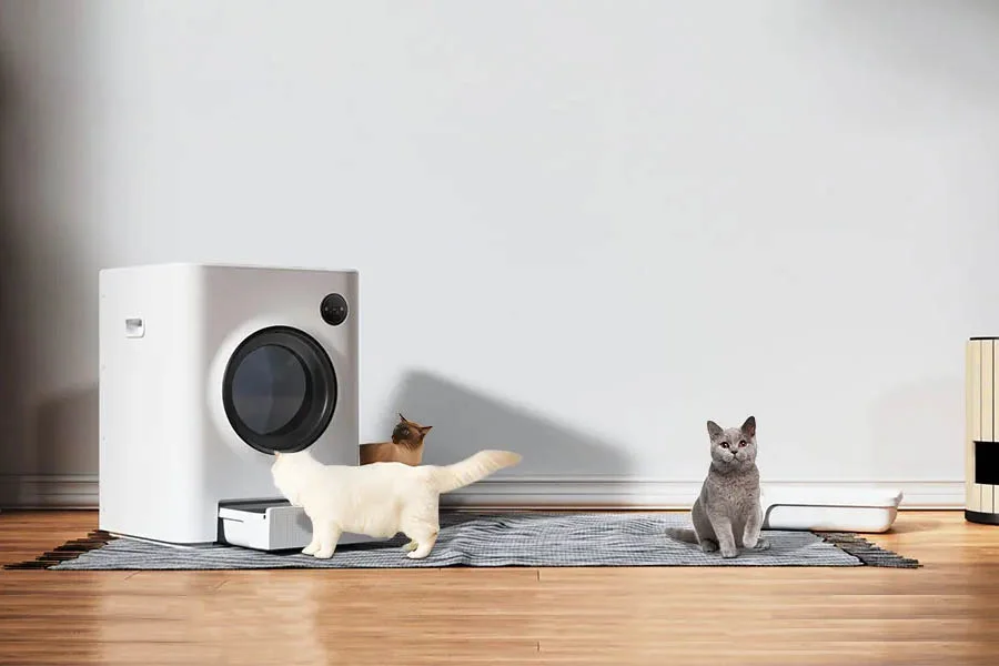 automated cat litter