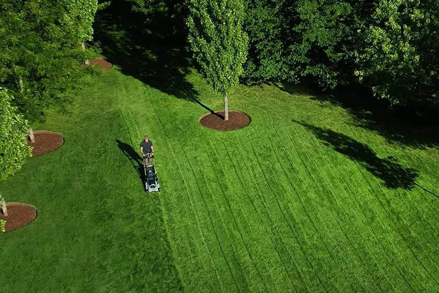 where can i buy lawn mower