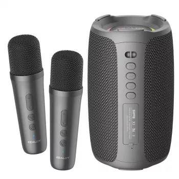 Easy Home Karaoke: Bluetooth Speaker + 2 Wireless Mics