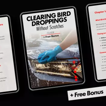 Remove Bird Droppings From Car Paint Without Scratches